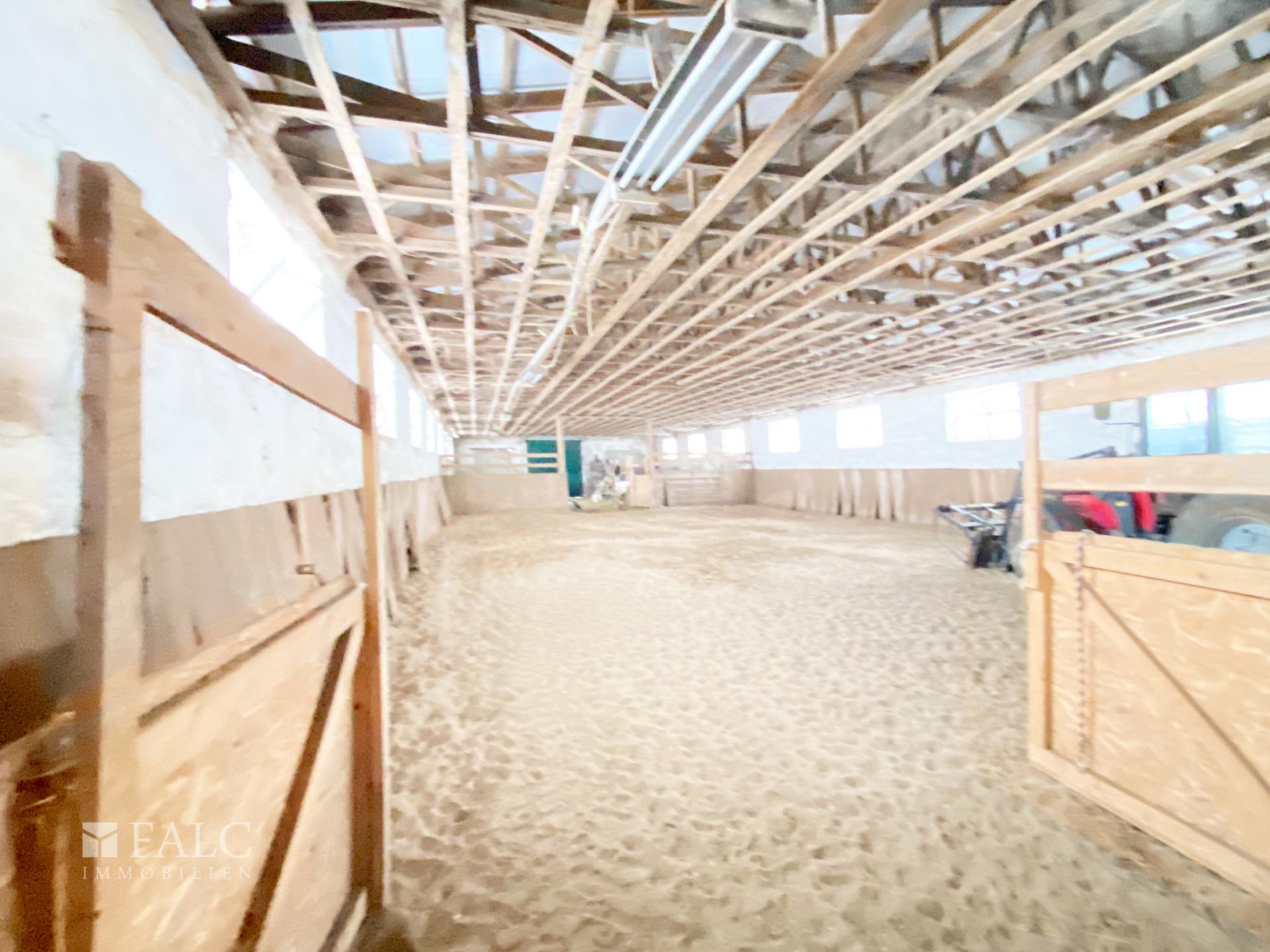 Reitanlage hinter dem Stall